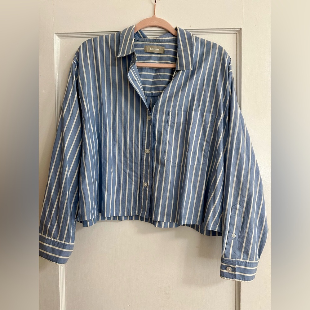 Everlane Cropped Boxy Oxford Shirt